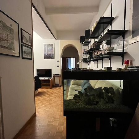 볼로냐 Red Sun Acquarium 아파트 외부 사진